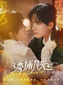 《诱捕月光》：一场意外的相遇，一段触动心灵的浪漫之旅！