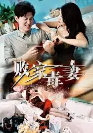 《败家毒妻》：看毒舌娇妻如何玩转豪门，爆笑演绎另类爱情！