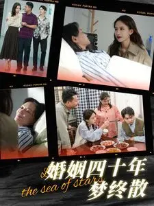 婚姻四十年梦终散 海报